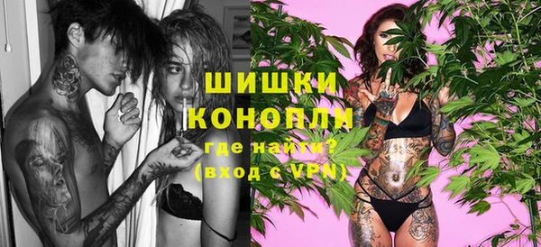PSILOCYBIN Переславль-Залесский