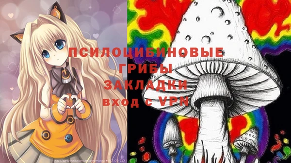 прущие грибы Пересвет